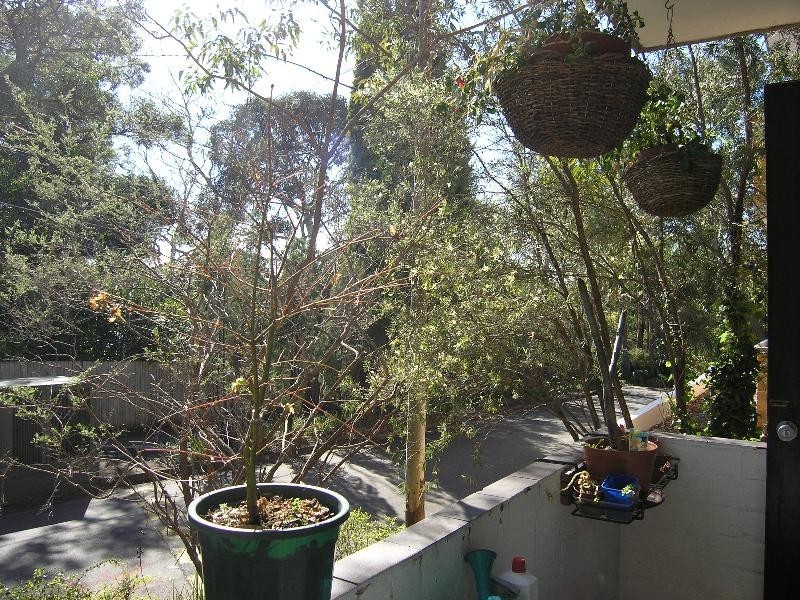 X7/38   Cope Street, Lane Cove NSW 2066