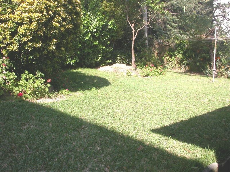 31  Milray Avenue, Wollstonecraft NSW 2065