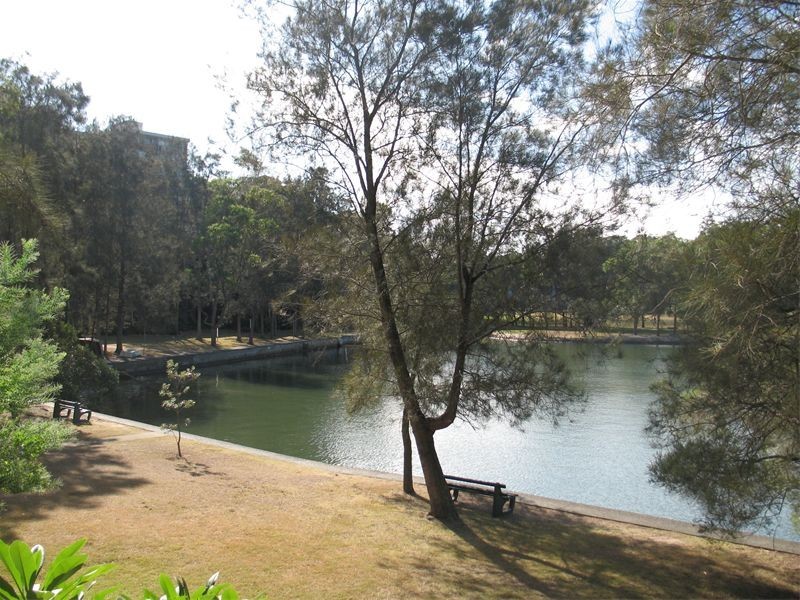 23/302  Burns Bay Road, Lane Cove NSW 2066