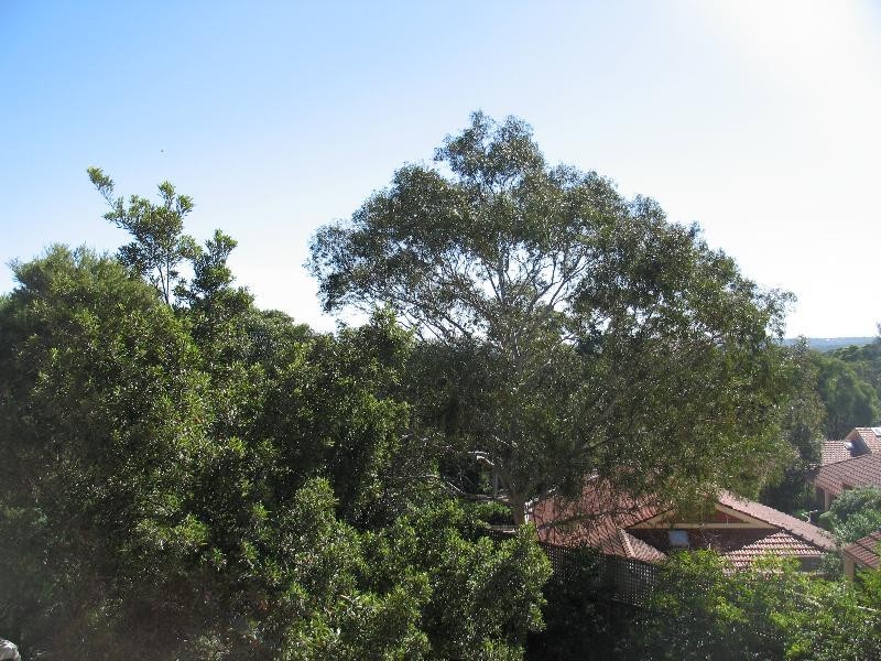 6/15  Longueville Road, Lane Cove NSW 2066