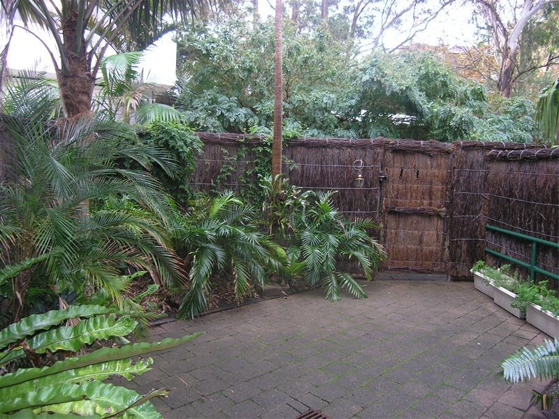 3/2  Carr Street, Waverton NSW 2060