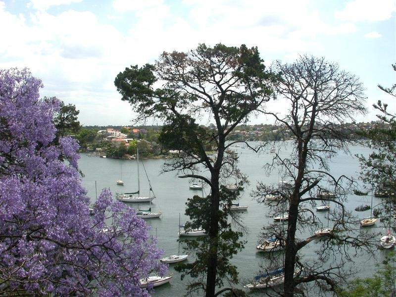 3/2  Landenburg Place, Greenwich NSW 2065