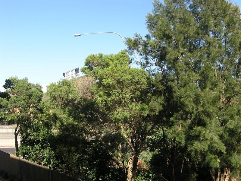 3/11  Longueville Road, Lane Cove NSW 2066