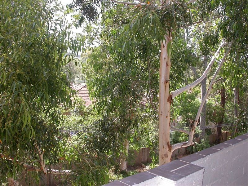 16/38  Cope Street, Lane Cove NSW 2066