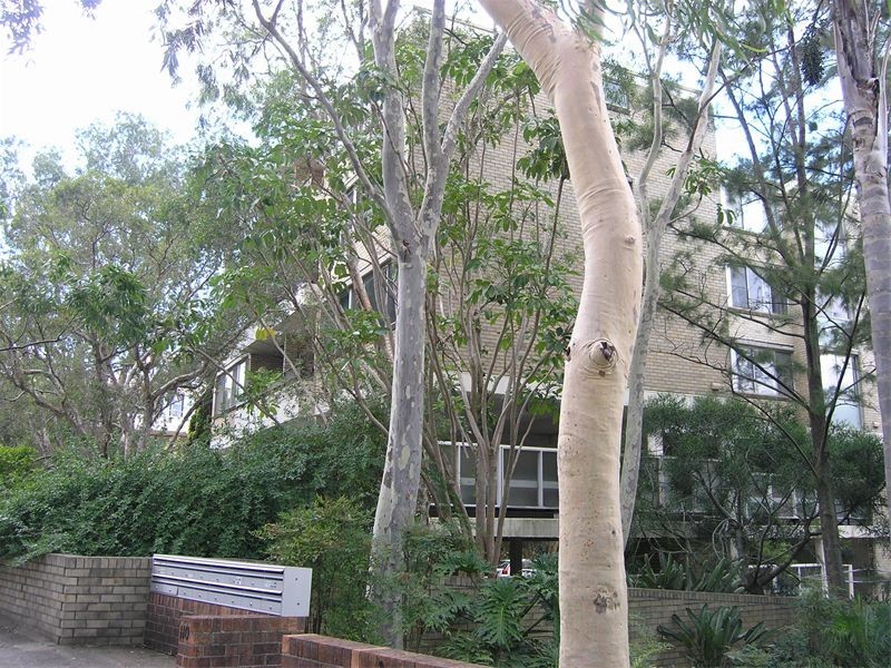 4/106  Bay Road, Waverton NSW 2060