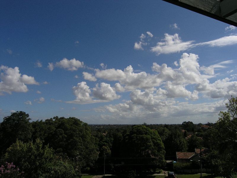 22/98  Burns Bay Road, Lane Cove NSW 2066