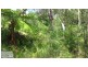 14 Bailey Avenue, Lane Cove NSW 2066