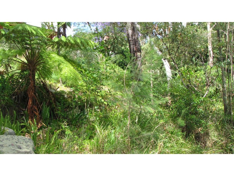 14 Bailey Avenue, Lane Cove NSW 2066