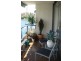 54/95 ELIZABETH BAY ROAD, Elizabeth Bay NSW 2011