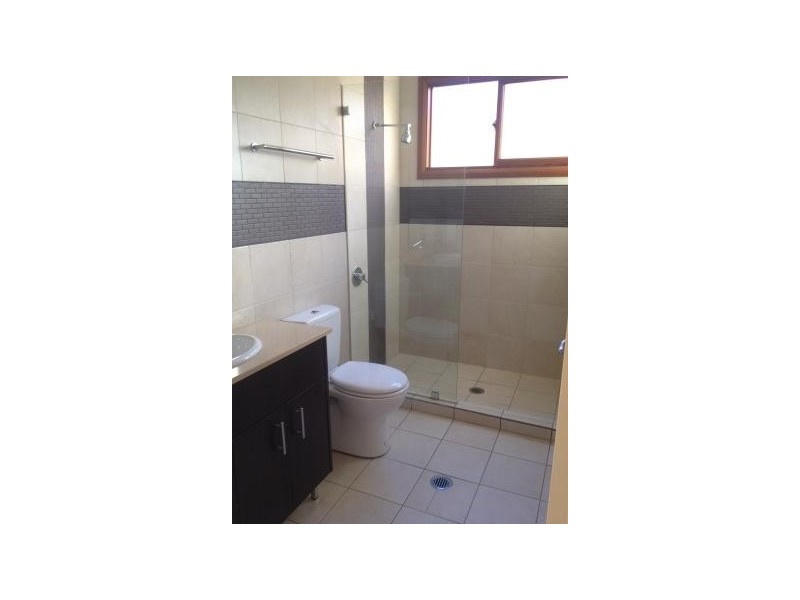 39 Denison Street, Bondi Junction NSW 2022
