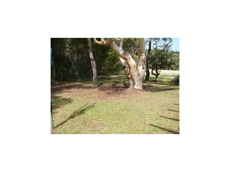 7 Dendrobium Crescent, Elanora Heights NSW 2101