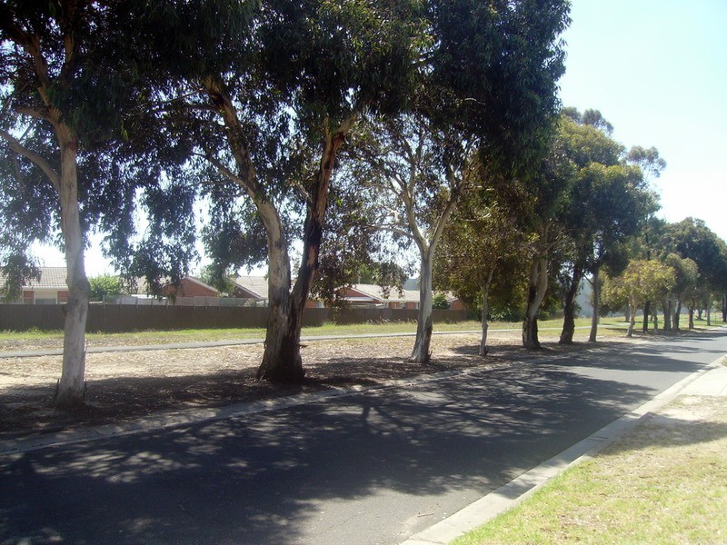 Lot 2  4 Kerr  Street, North Geelong VIC 3215