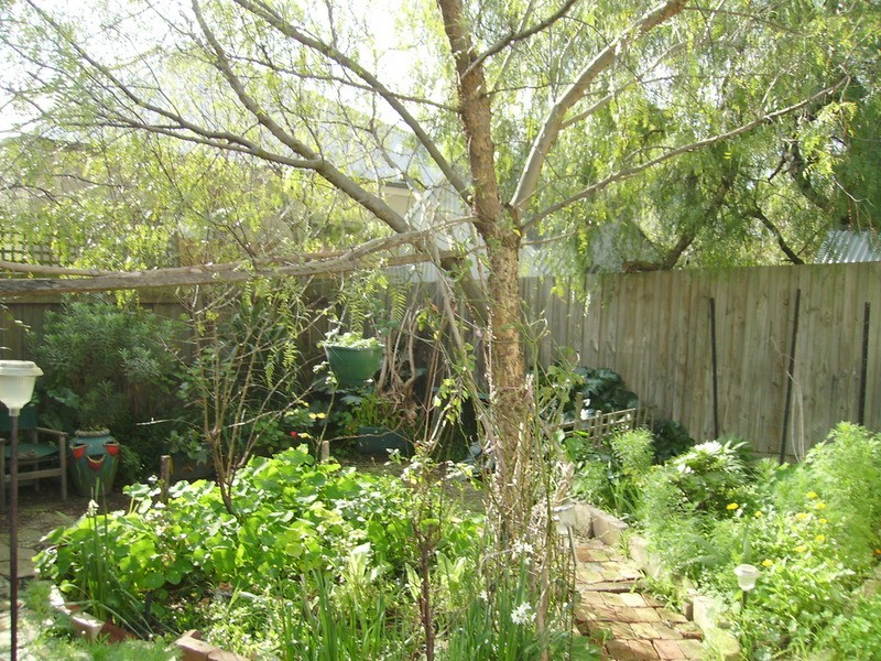 190 Aberdeen Street, Geelong West VIC 3218