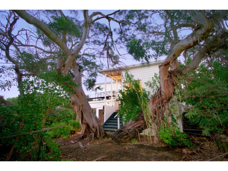 14 Harvey Street, Anglesea VIC 3230