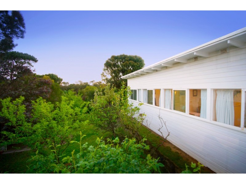 14 Harvey Street, Anglesea VIC 3230