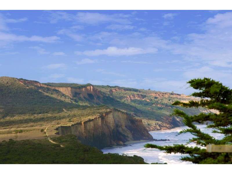 14 Harvey Street, Anglesea VIC 3230