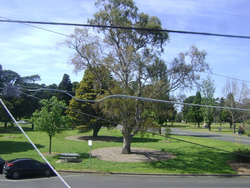 24 Garden Street, Geelong VIC 3220