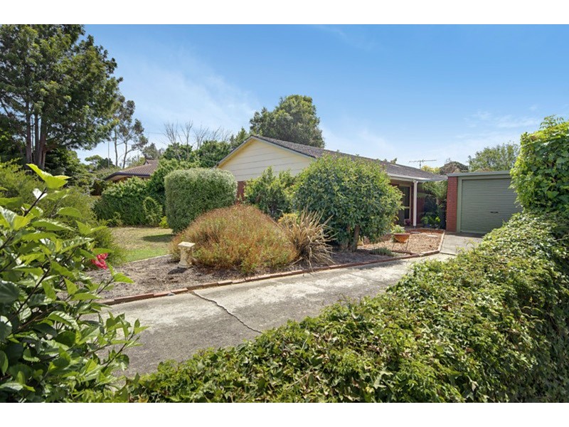 30 Walpole Avenue, Belmont VIC 3216