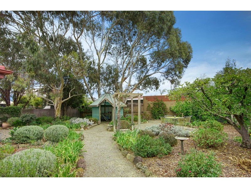 33 Polwarth Crescent, Belmont VIC 3216