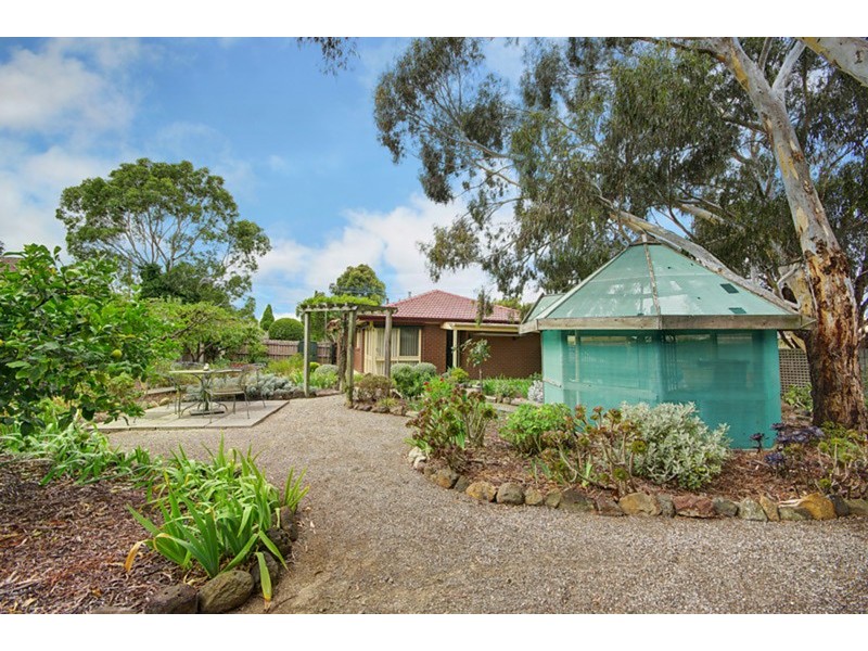 33 Polwarth Crescent, Belmont VIC 3216