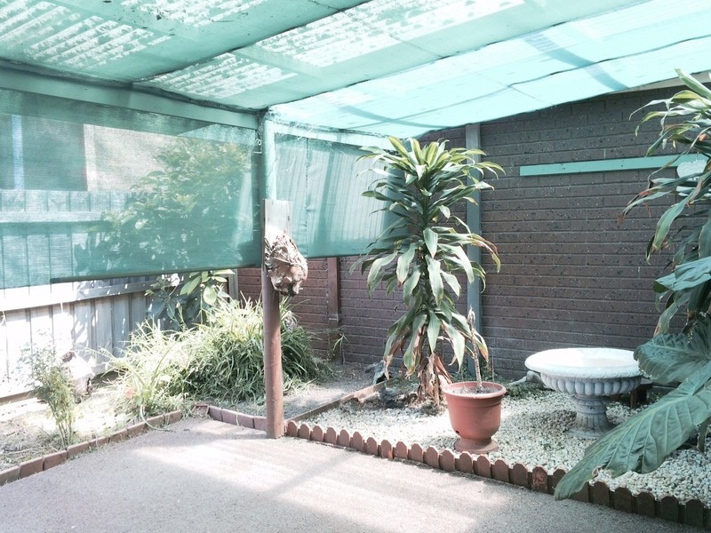 3/37 Francis Street, Belmont VIC 3216