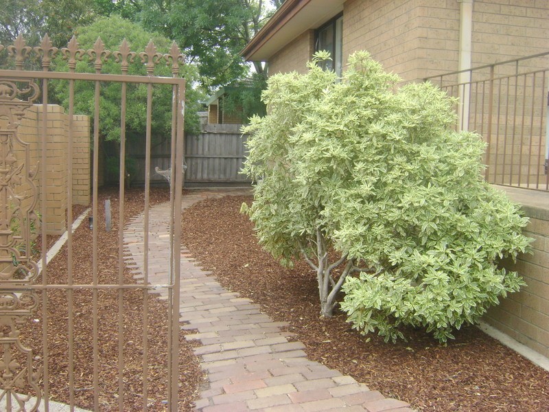 61 Torquay Road, Grovedale VIC 3216