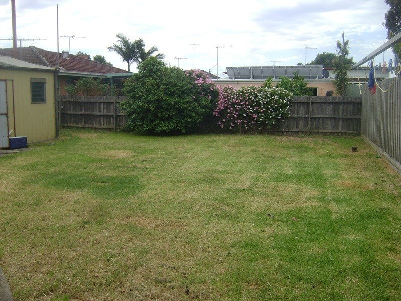 31 Wilton Avenue, Newcomb VIC 3219