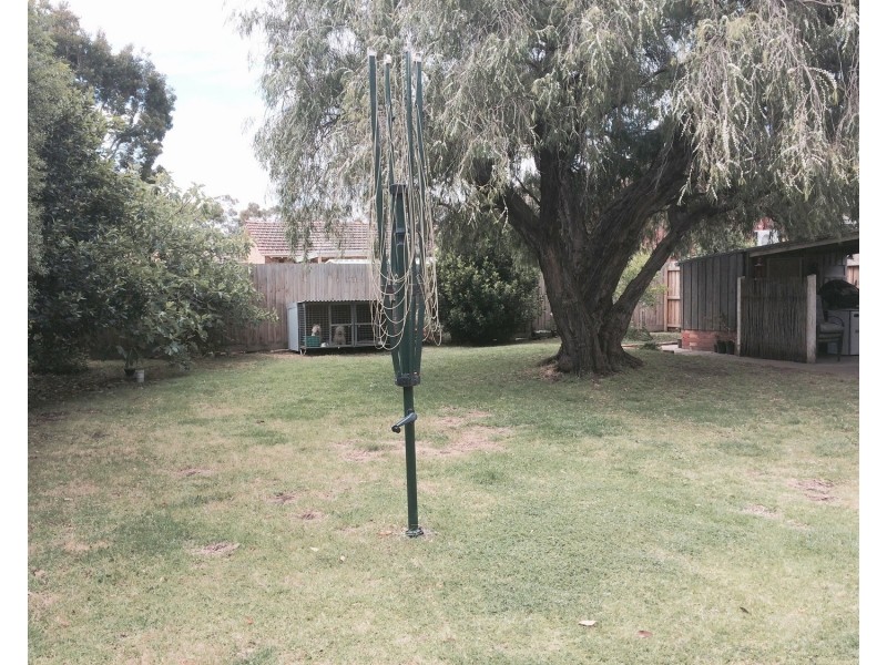 394 Aberdeen Street, Newtown VIC 3220