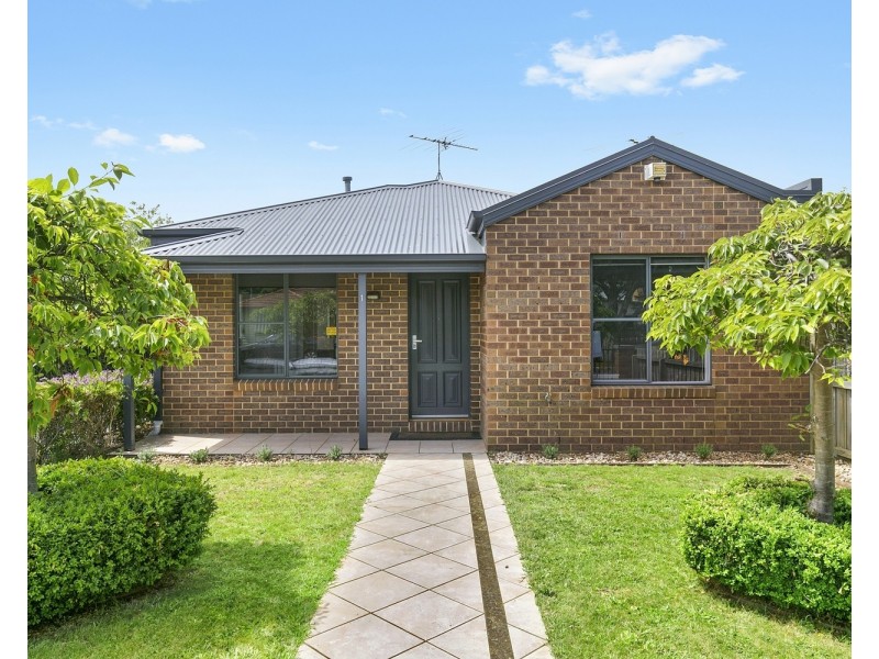 1/10 Herbert Street, Belmont VIC 3216