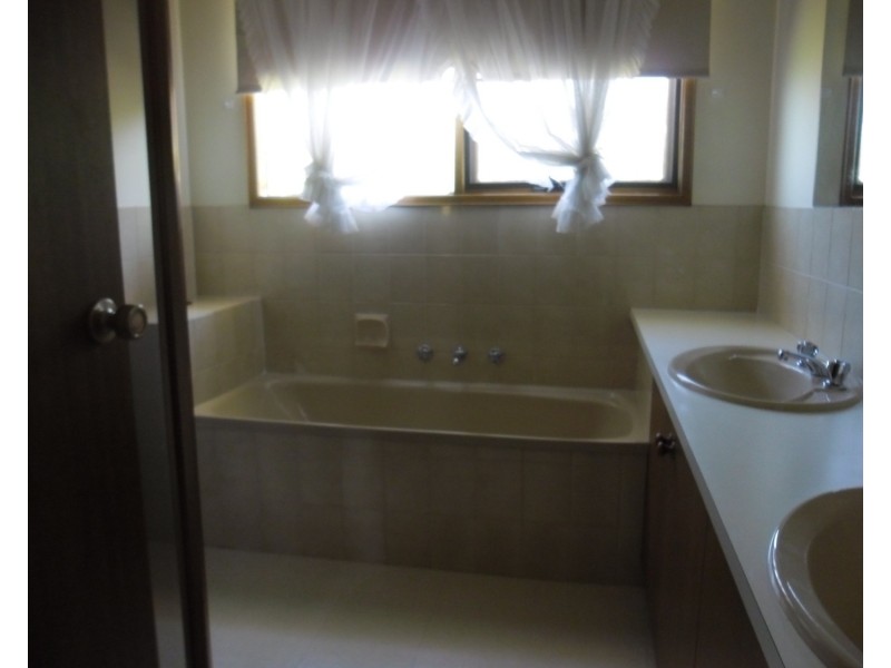 17 Richmond Crescent, Geelong VIC 3220