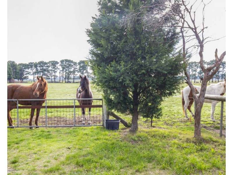 1255 Donnybrook Road, Donnybrook VIC 3064