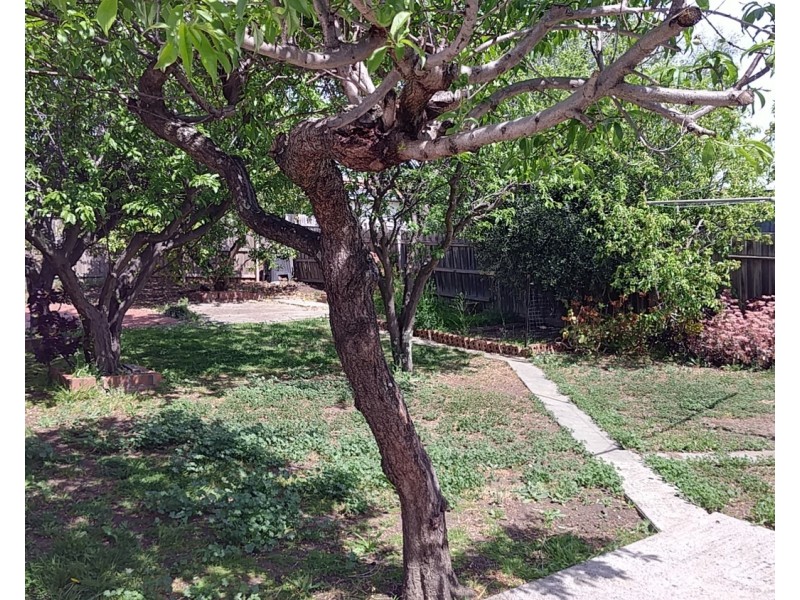 9 Tarana Avenue, Glenroy VIC 3046