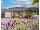 20A William Street, Glenroy VIC 3046