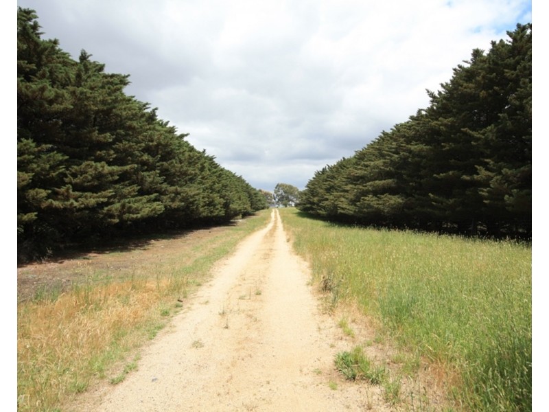 125 Konagaderra Road, Oaklands Junction VIC 3063