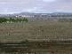 125 Konagaderra Road, Oaklands Junction VIC 3063