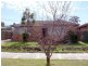 20 Koroit Avenue, Dallas VIC 3047