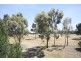 8 Richmond Terrace, Roxburgh Park VIC 3064