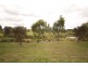 11 Desna Place, Roxburgh Park VIC 3064