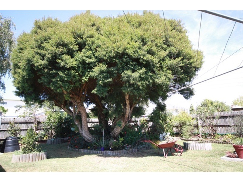 30 Churchill  Street, Glenroy VIC 3046