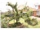 6 Winchester Way, Broadmeadows VIC 3047