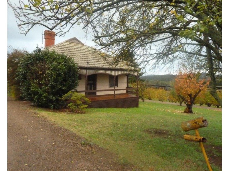 141 Beenak Road, Wandin North VIC 3139