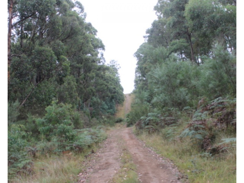 61 Banksia Court, Castella VIC 3777