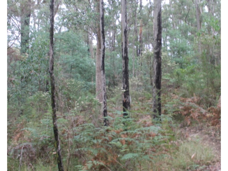 61 Banksia Court, Castella VIC 3777