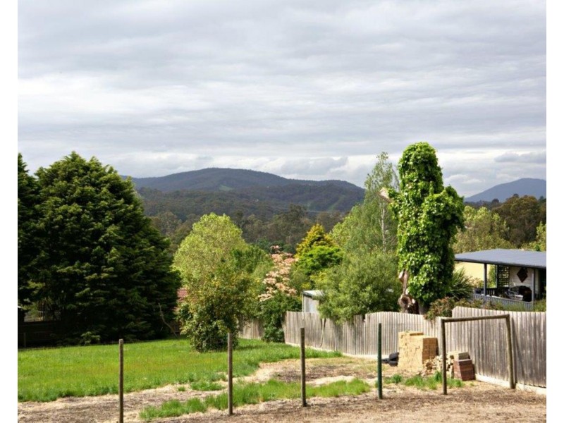 17 Raleigh Street, Seville VIC 3139