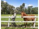 18 Bailey Grove, Wandin North VIC 3139