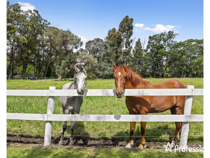18 Bailey Grove, Wandin North VIC 3139
