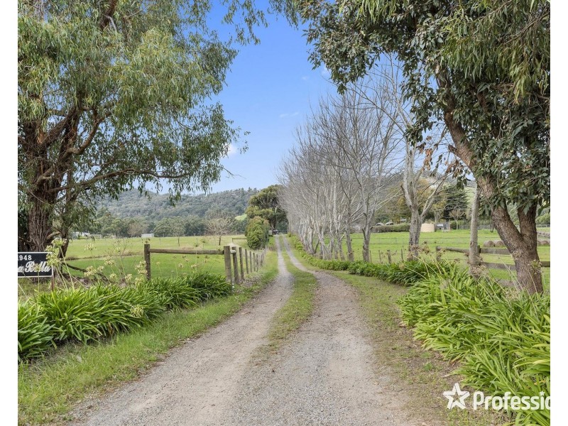 1948 Melba Highway, Dixons Creek VIC 3775