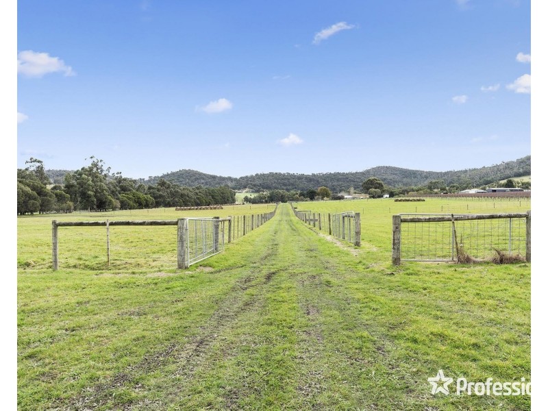 1948 Melba Highway, Dixons Creek VIC 3775