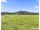 1948 Melba Highway, Dixons Creek VIC 3775