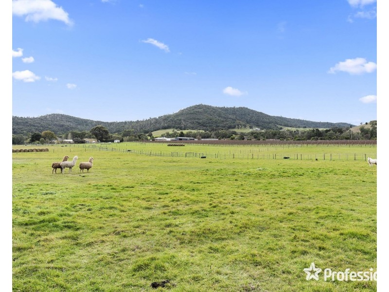 1948 Melba Highway, Dixons Creek VIC 3775